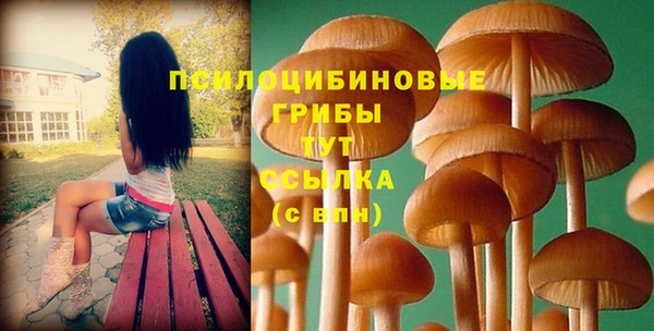 синтетический гашиш Алексеевка