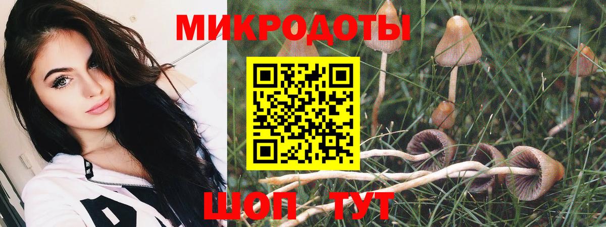 Псилоцибиновые грибы мицелий  Вход с VPN  Галлюциногенные грибы GOLDEN TEACHER  Заринск 